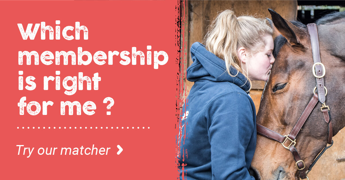 Membership quiz small icon