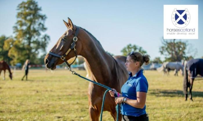 horsescotland 2025 survey